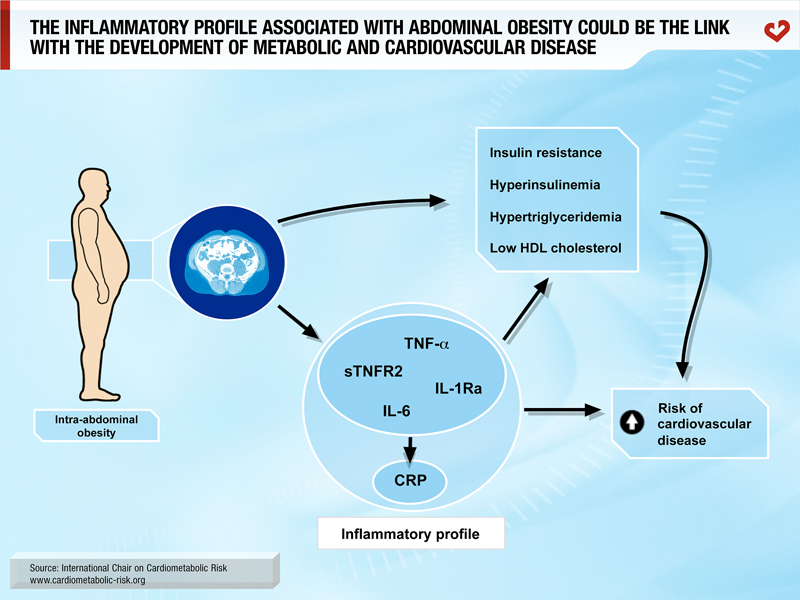 The inflammatory profile associated with abdominal obesity could be the link with the development of metabolic and cardiovascular disease