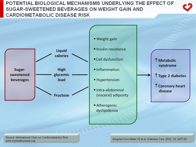 Potential biological mechanisms underlying the effect of sugar-sweetened beverages on weight gain and cardiometabolic disease risk