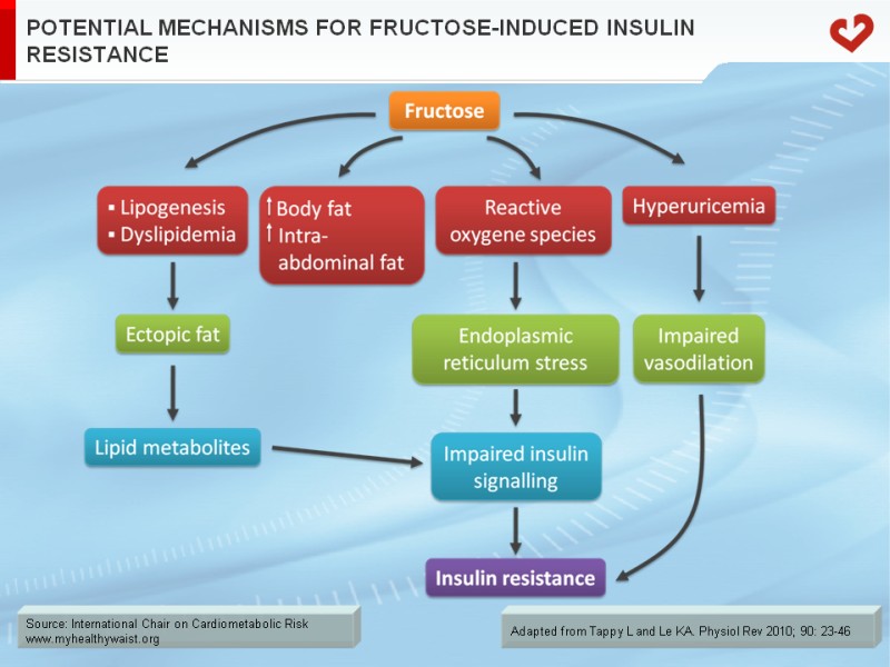 Potential mechanisms for fructose-induced insulin resistance