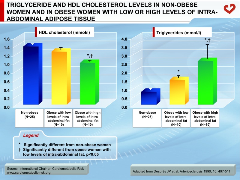 Triglyceride and HDL cholesterol levels in non-obese women and in obese women with low or high levels of intra-abdominal adipose tissue