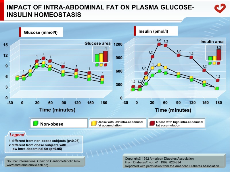 Impact of intra-abdominal fat on plasma glucose-insulin homeostasis