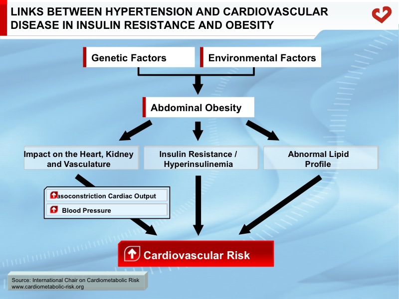 Links between hypertension and cardiovascular disease in insulin resistance and obesity