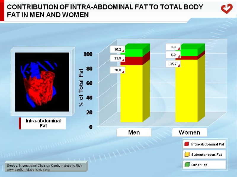 Contribution of intra-abdominal fat to total body fat in men and women