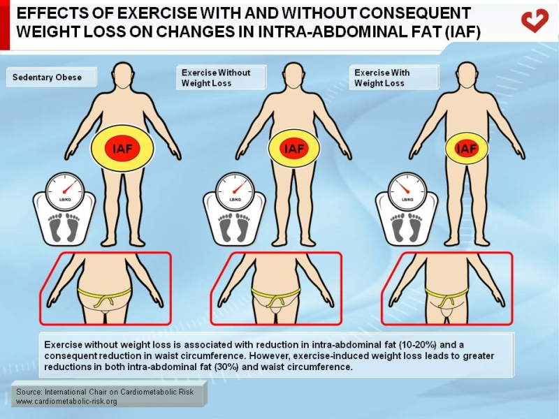 Effects of exercise with and without consequent weight loss on changes in intra-abdominal fat (IAF)