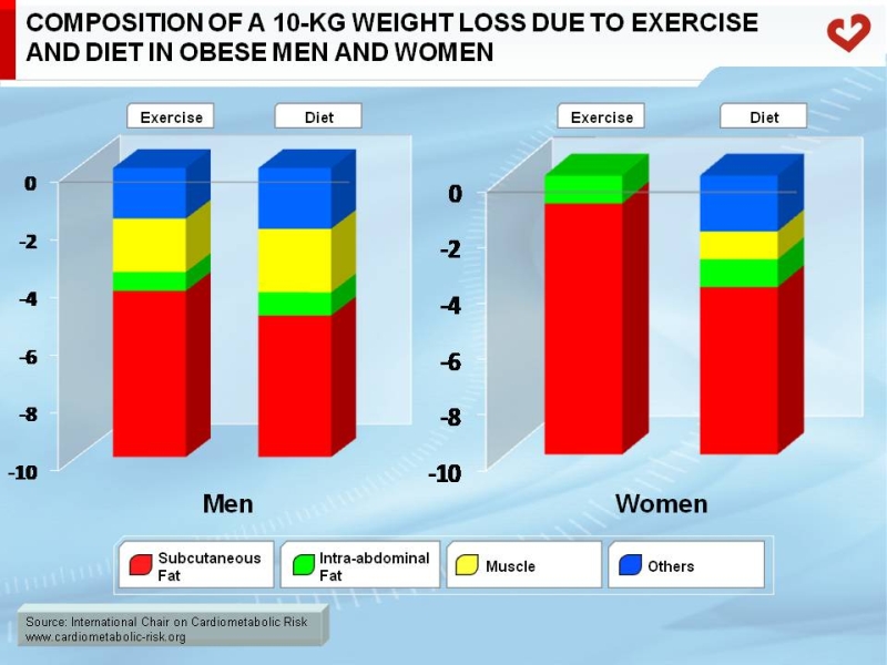 Composition of a 10-kg weight loss due to exercise and diet in obese men and women