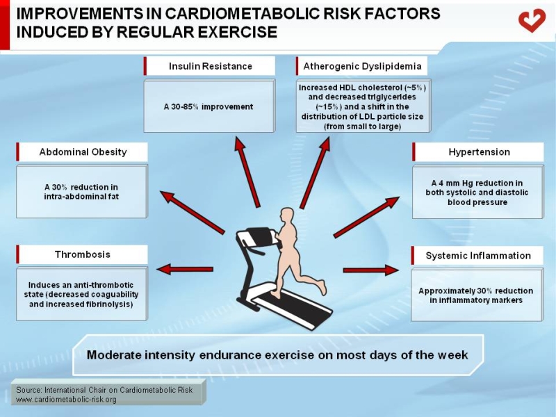 Improvement in cardiometabolic risk factors induced by regular exercise