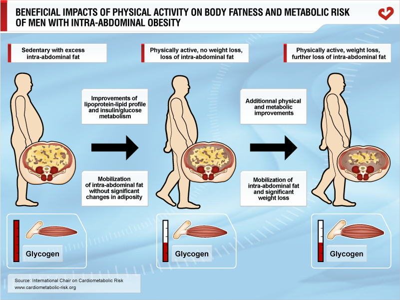 Beneficial impacts of physical activity on body fatness and metabolic risk of men with intra-abdominal obesity
