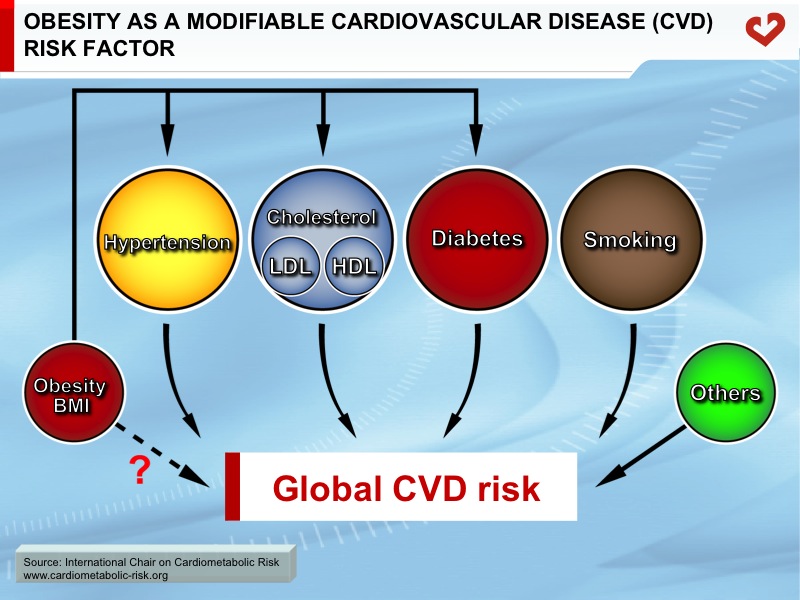 Obesity as a modifiable cardiovascular disease (CVD) risk factor