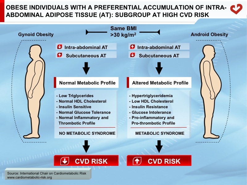 Excess intra-abdominal adipose tissue is linked to a pro-atherogenic and pro-diabetic profile that increases CVD risk