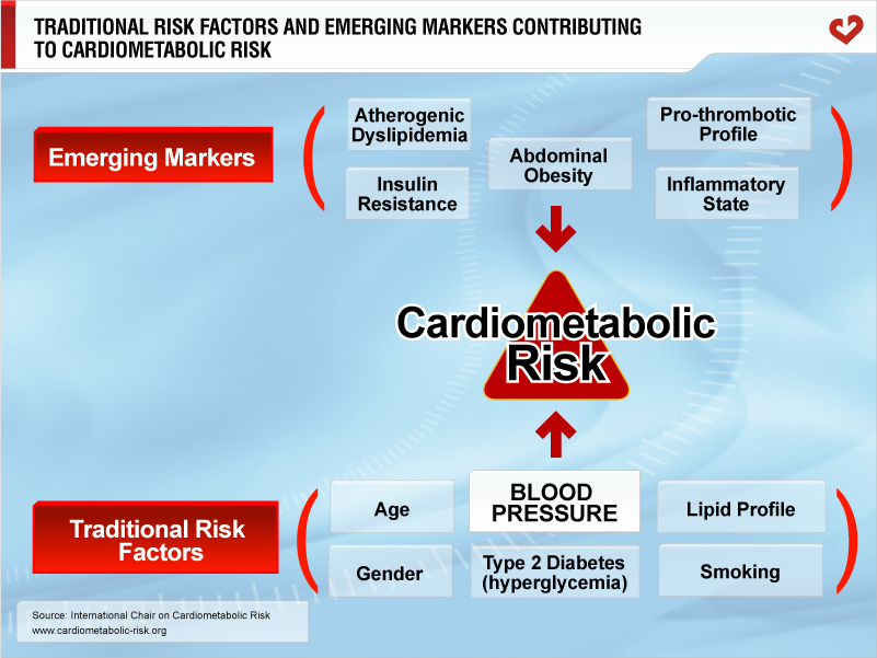 Traditional risk factors and emerging markers contributing to cardiometabolic risk
