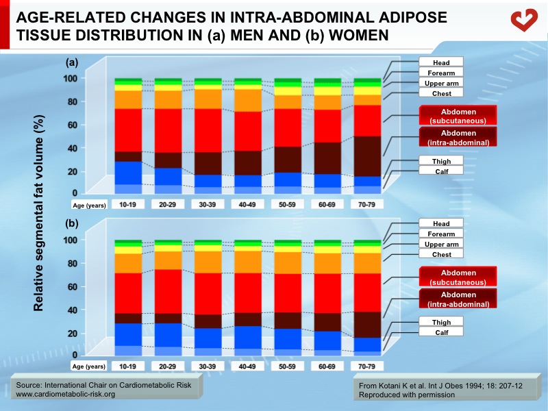 Age-related changes in intra-abdominal adipose tissue distribution in (a) men and (b) women