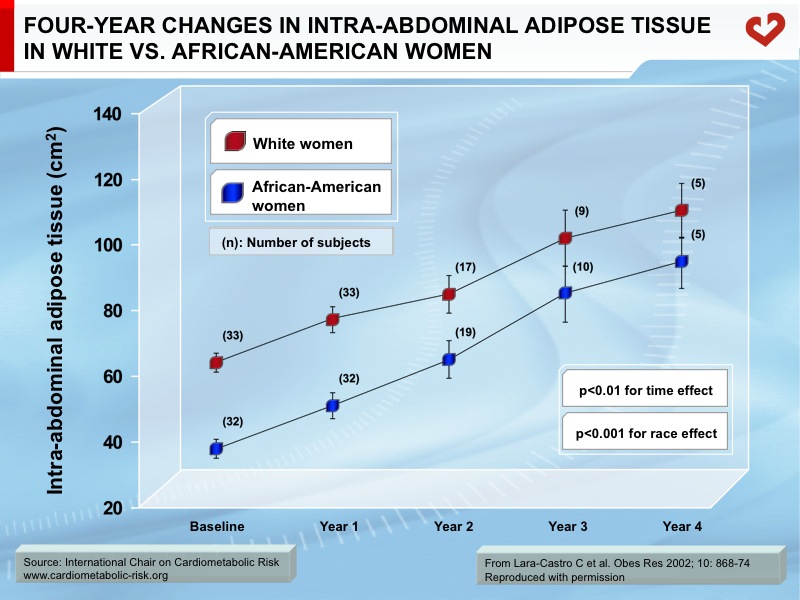 Four-year changes in intra-abdominal adipose tissue in White vs. African-American women