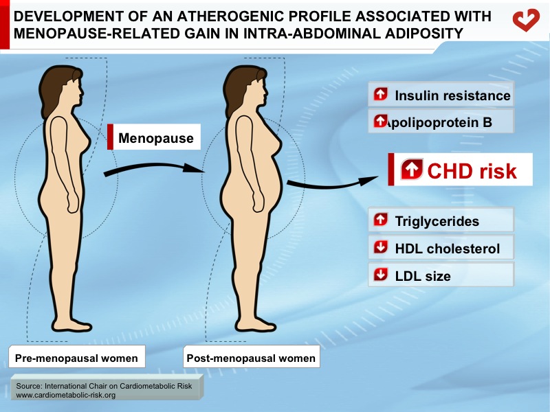 Development of an atherogenic profile associated with menopause-related gain in intra-abdominal adiposity