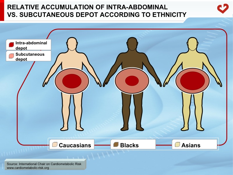 Relative accumulation of intra-abdominal vs. subcutaneous depot according to ethnicity
